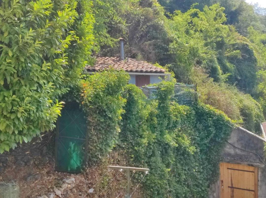 Hebergements Entiers Two Homes T1 Bas Or T1 Haut -Aux Terrasses Du Pech Фуа Экстерьер фото